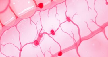 Heilung von gastrointestinalen Infektionen
