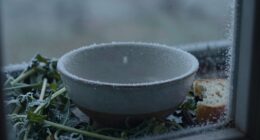 Kälte und Appetitlosigkeit