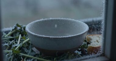 Kälte und Appetitlosigkeit