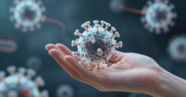 Häufige Infektionen deuten auf den Immunstatus hin