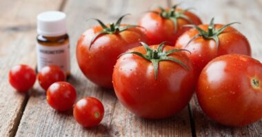 Gicht Tomaten Ernährung Mythen