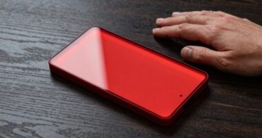Rotes Licht Gemeinschaftsplatte
