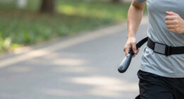 14 Best Hands-Free Dog Leashes in 2026