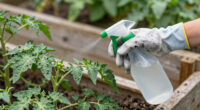 15 Best Garden Pest Control Products in 2026