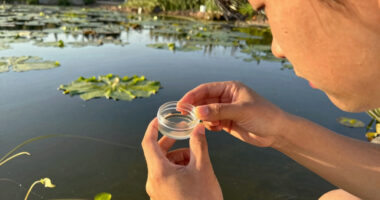 Not All Algae Is Harmless — Here’s When It Becomes a Real Health Threat