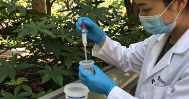 NYC health officials warn Central Park visitors after Legionnaires’ outbreak grows on Upper East Side